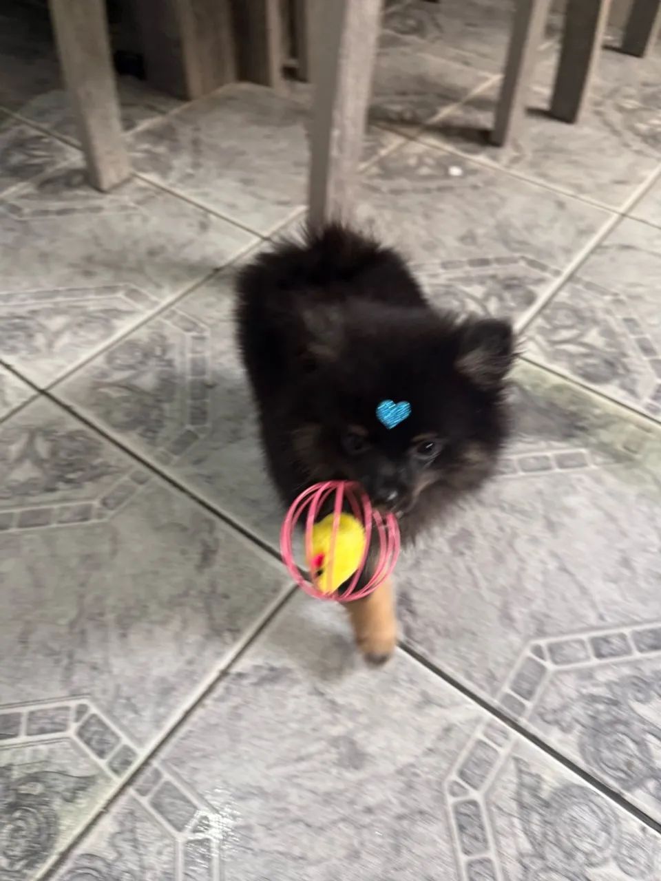 Lulu  - Foto 3