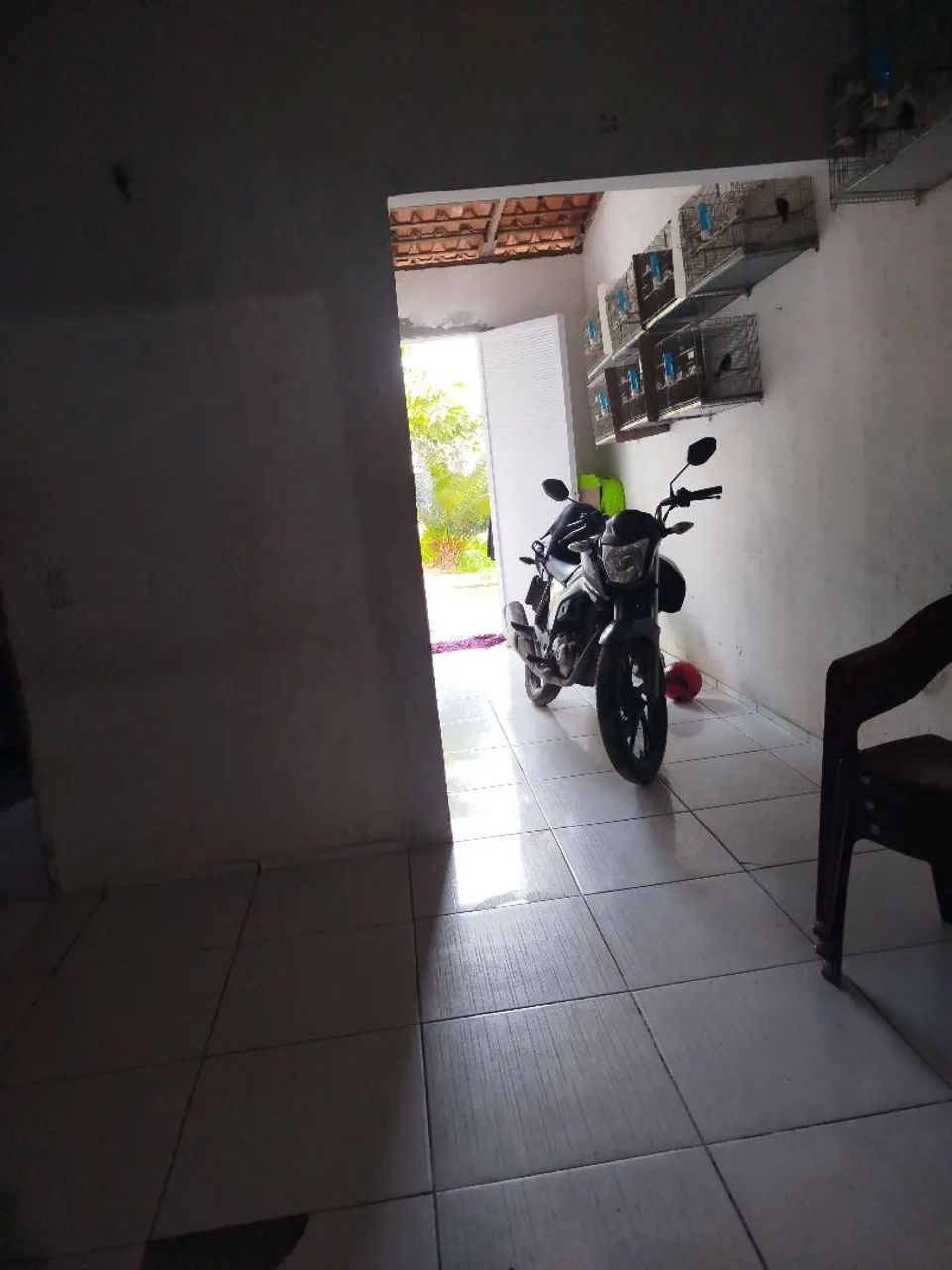 Verde se - Foto 4