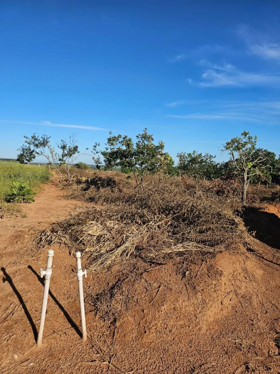 Chácara 2 mil metros a  35 km de Uberlândia  - Foto 3