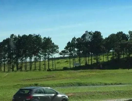 TERRENO RODOVIA CASTELO BRANCO - Foto 3