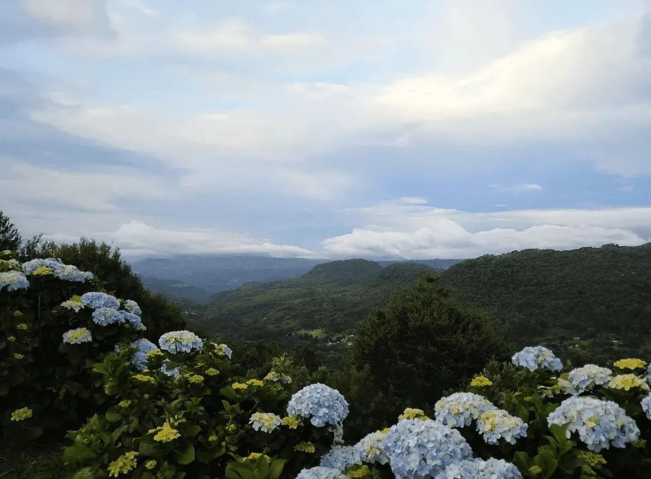 Terrenos à Venda com 1.000 m² no Vale dos Pinheiros  Gramado, RS