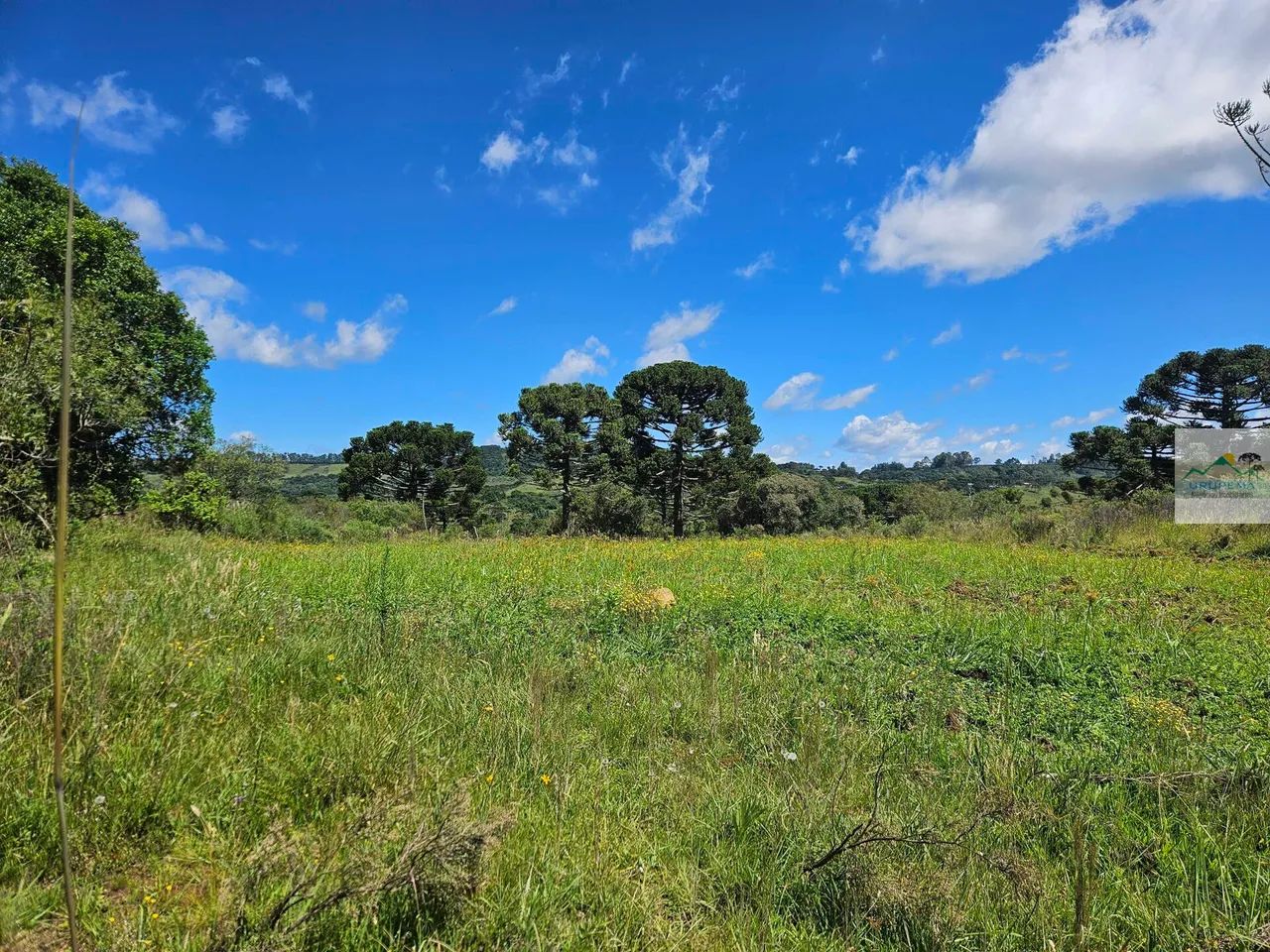 Terreno em Cedrinho, Urupema/SC - Foto 4
