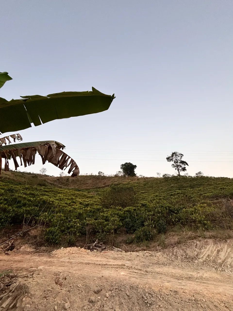 Sítio em Afonso Cláudio - Ibicaba - Foto 5