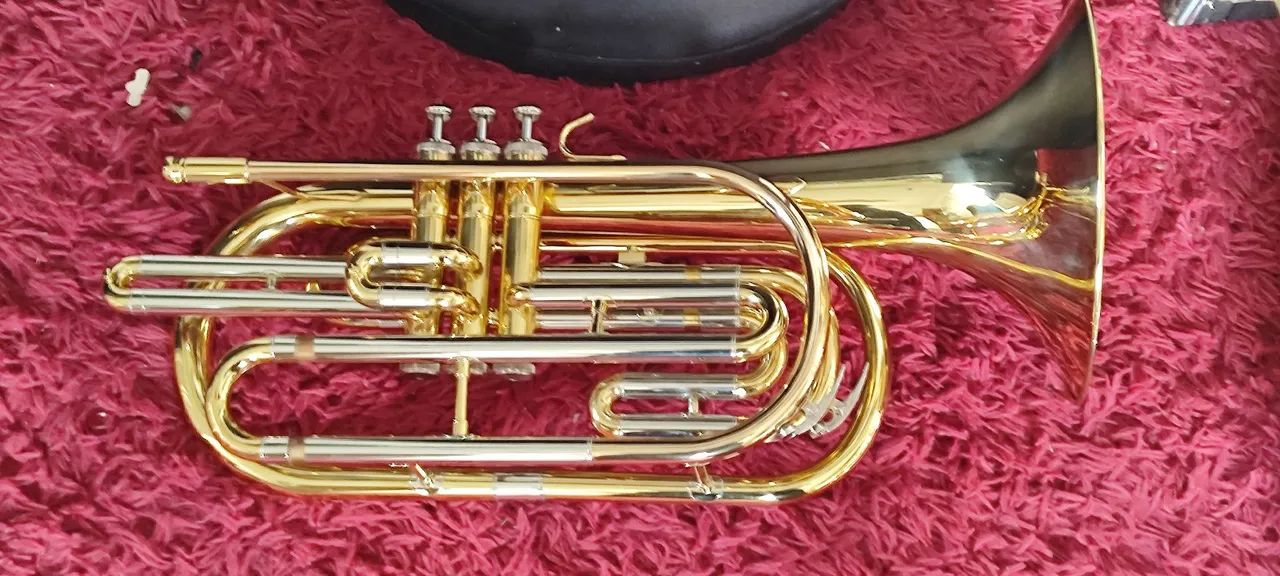 Trombonito Michael W35 Sib - Foto 2