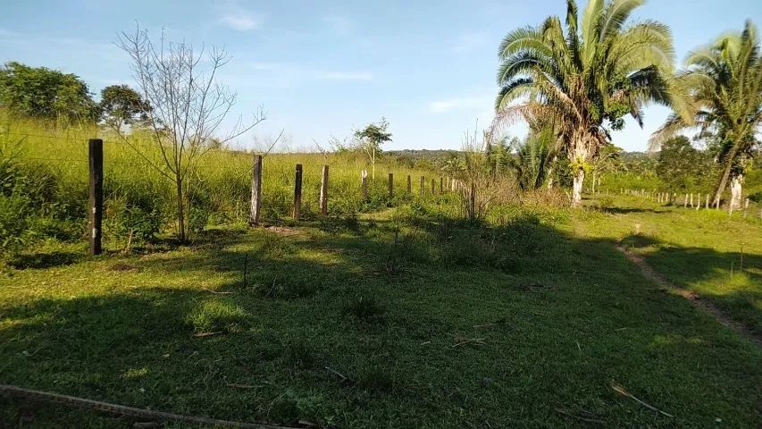 Fazenda  - Foto 3