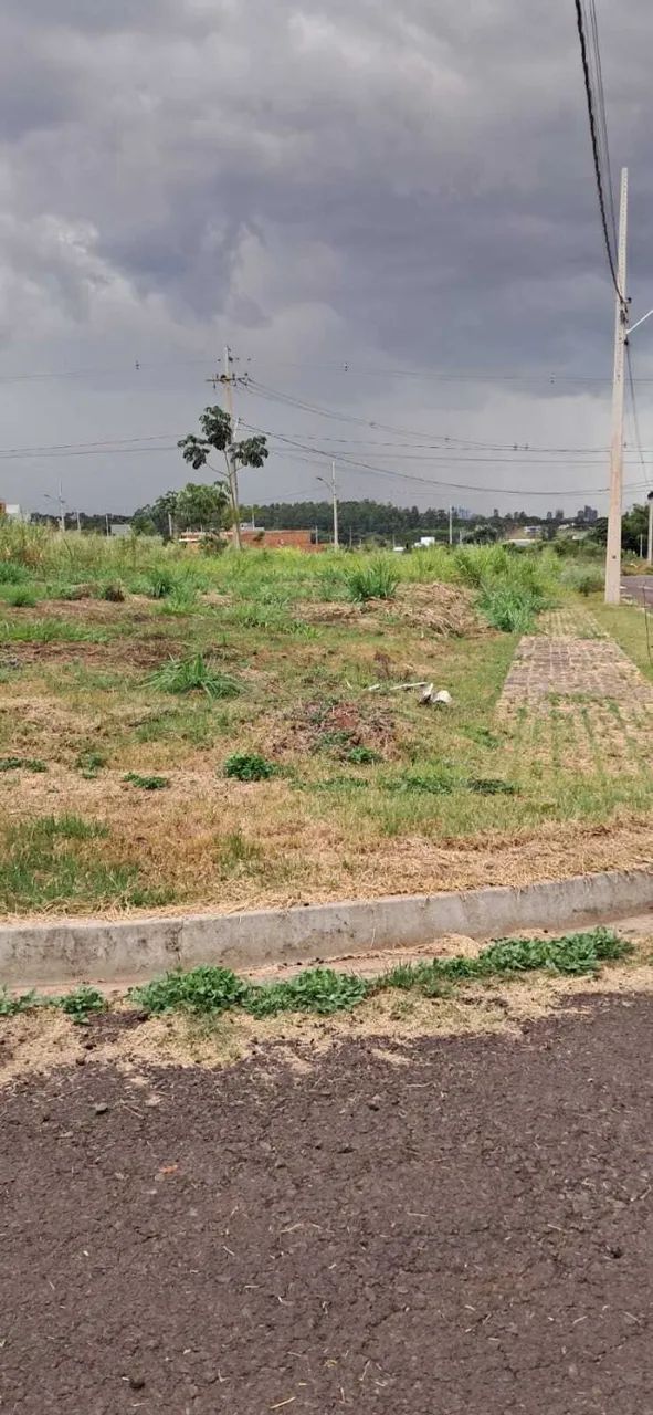 Foto - Foz do Iguaçu - Mata Verde