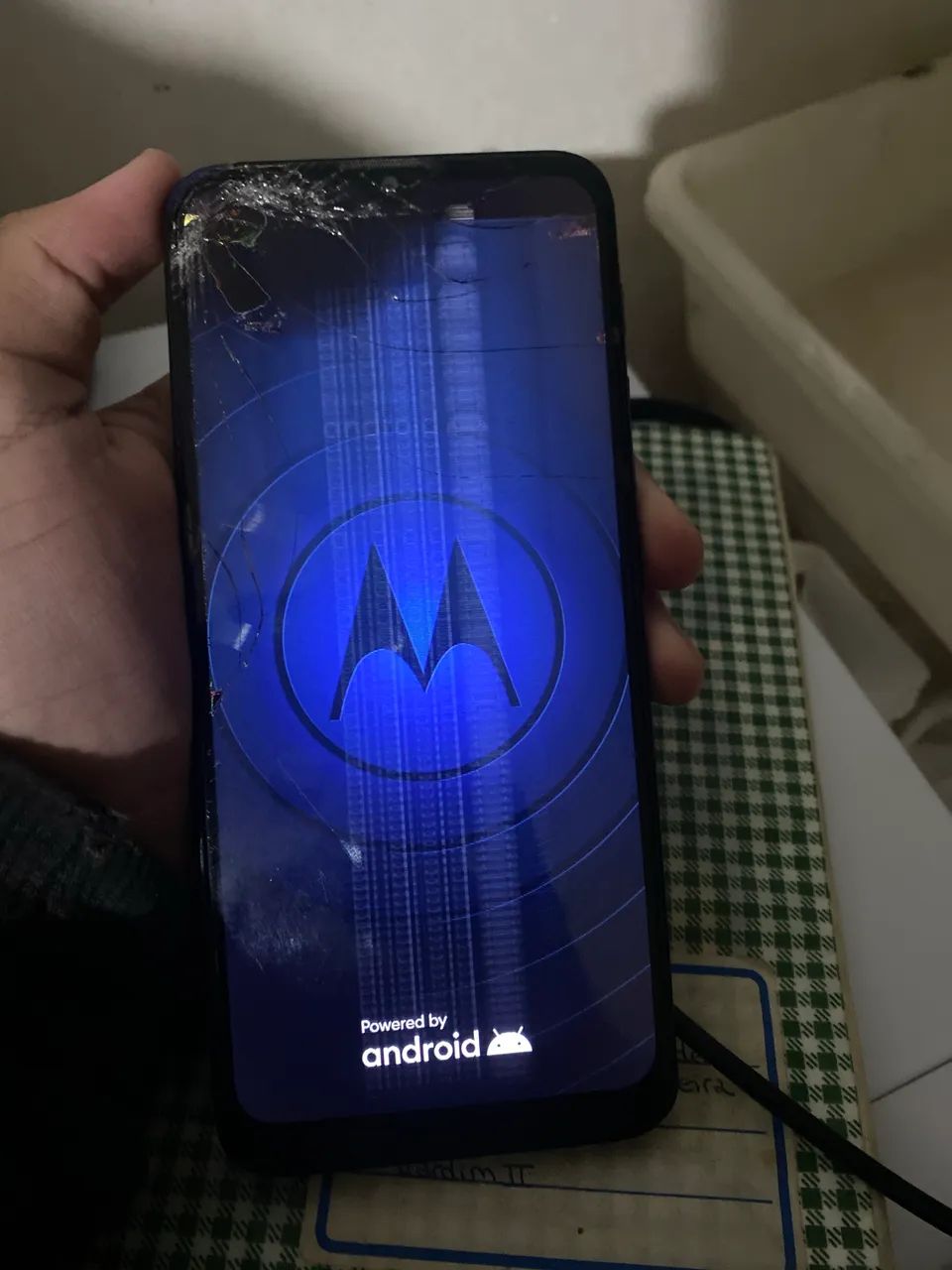 Celular 