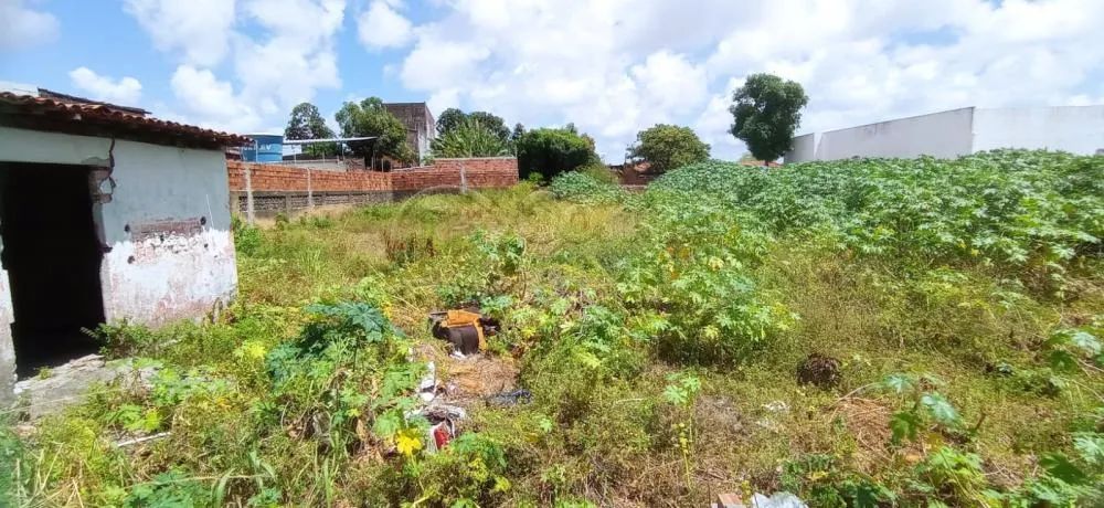 Terreno em rua pública, no Bairro América. (Vizinho a empresa Limpa fossa Moderna) - Foto 5