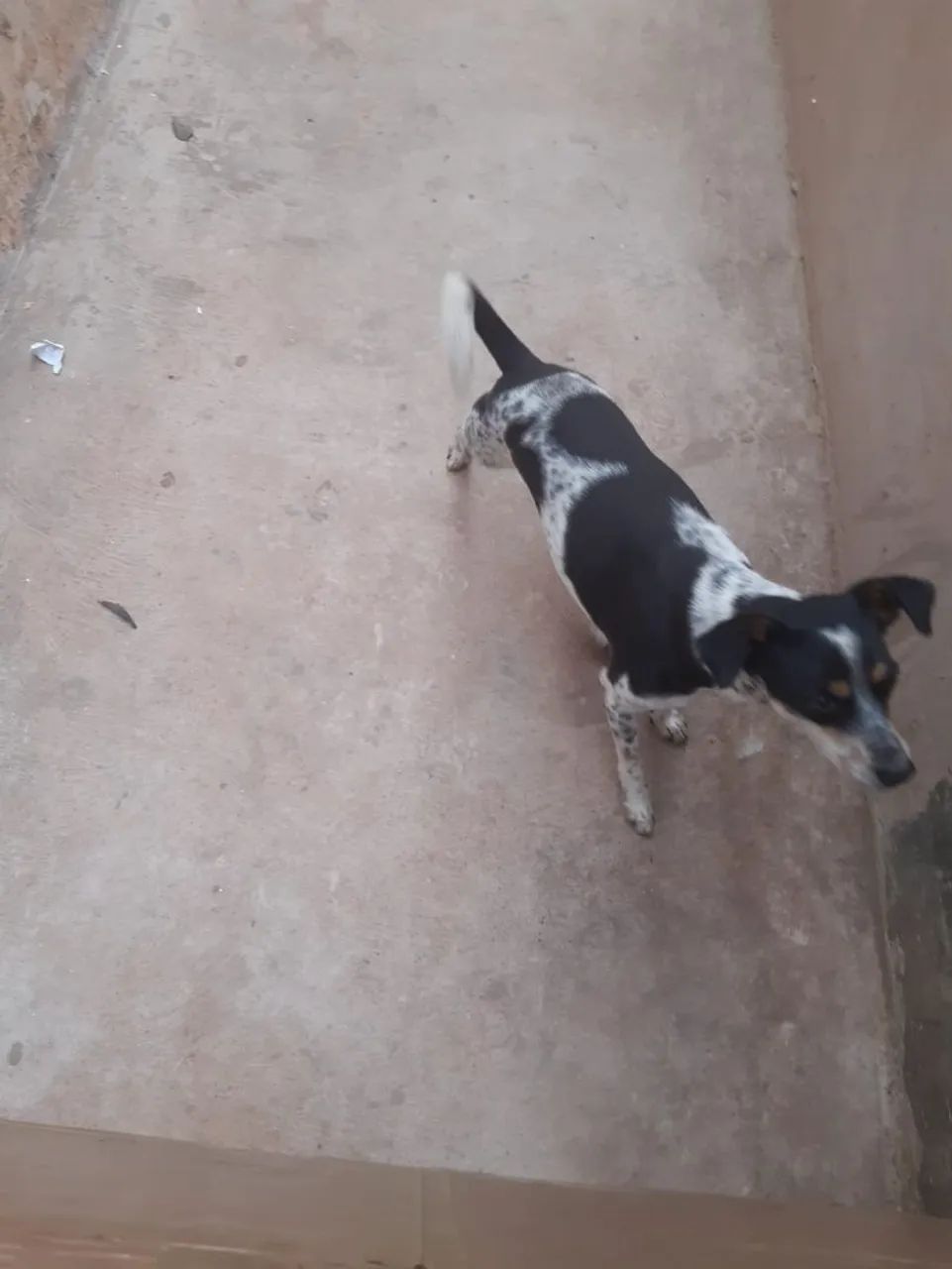 Doação 