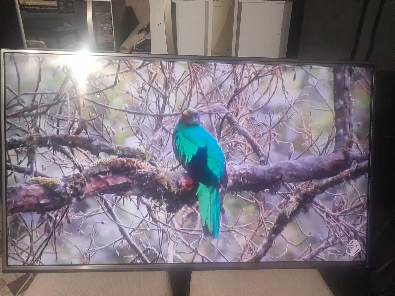 Tv 4k lg 55 polegadas 