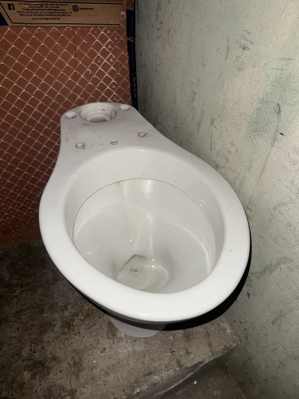 Toilet Bowl
