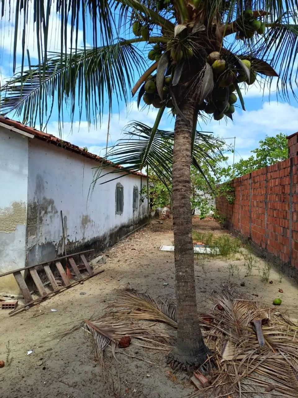 Casa com terreno 10x70 à venda em Horizonte  - Foto 4