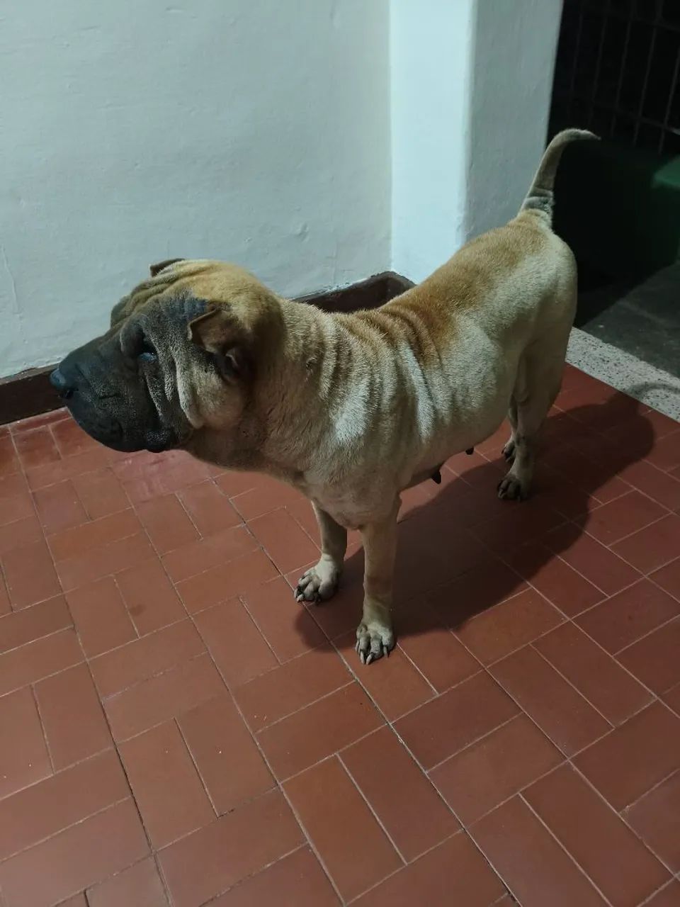 Doação 
