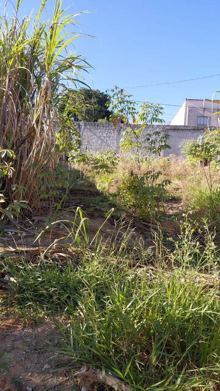 Lotes Esmeraldas (São Francisco) - Foto 5