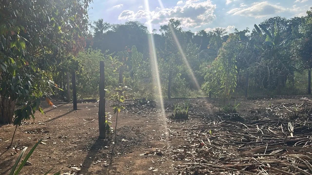 Chácara completa com 17.550m, produtiva e pronta para morar! - Foto 5