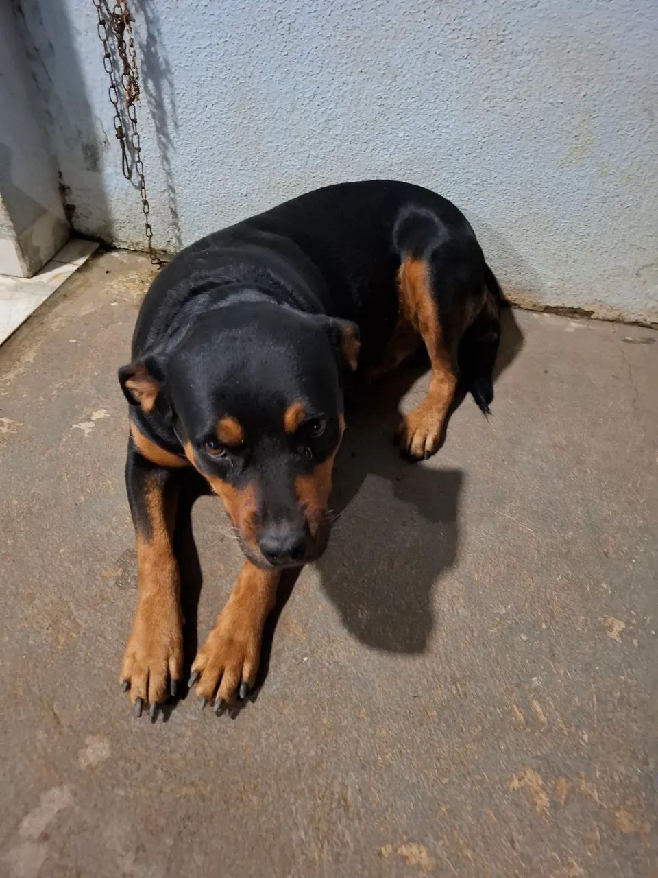 Em Vilhena-RO - Foto 2