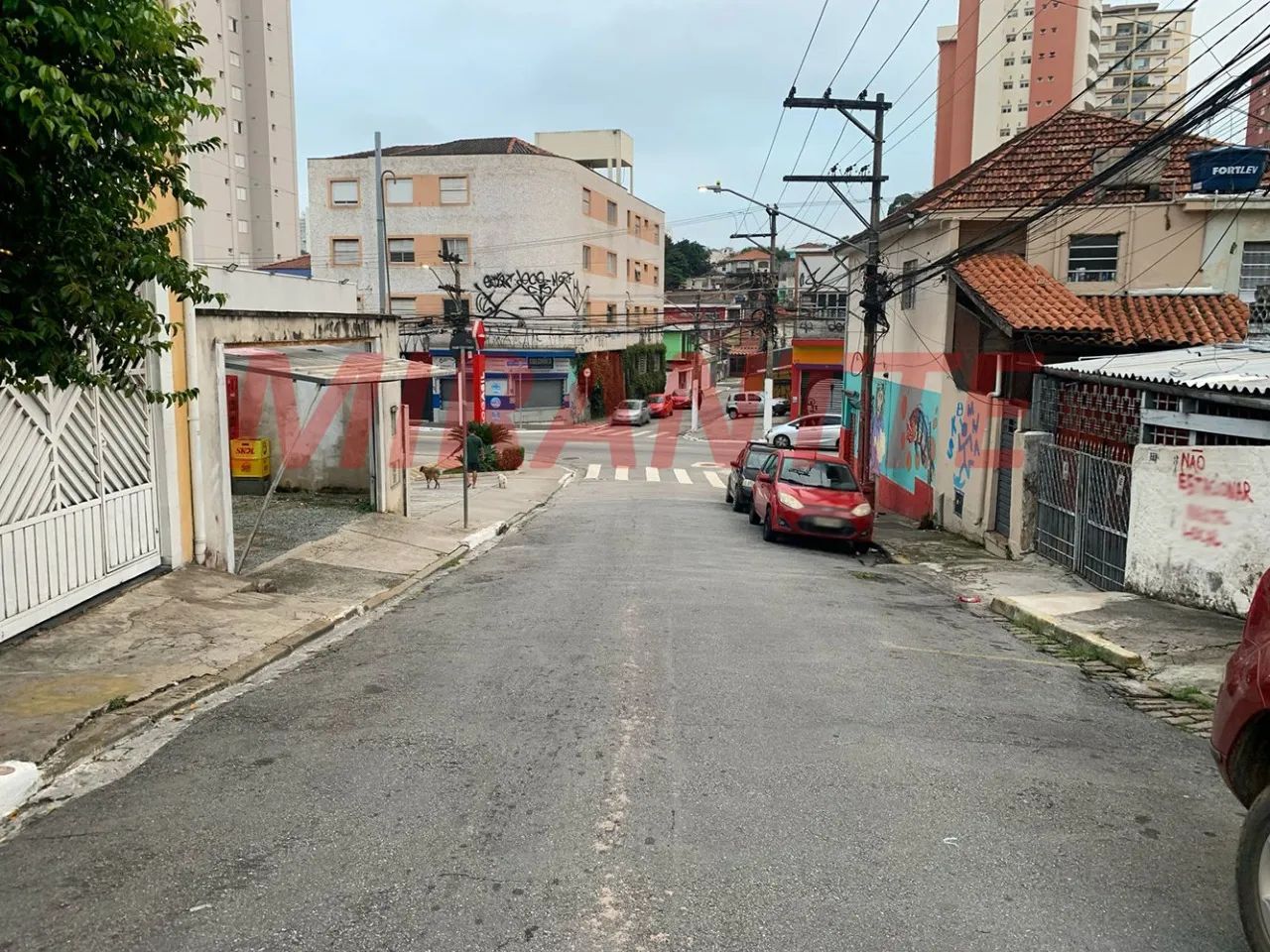 Terreno em Vila Dom Pedro II - Foto 4