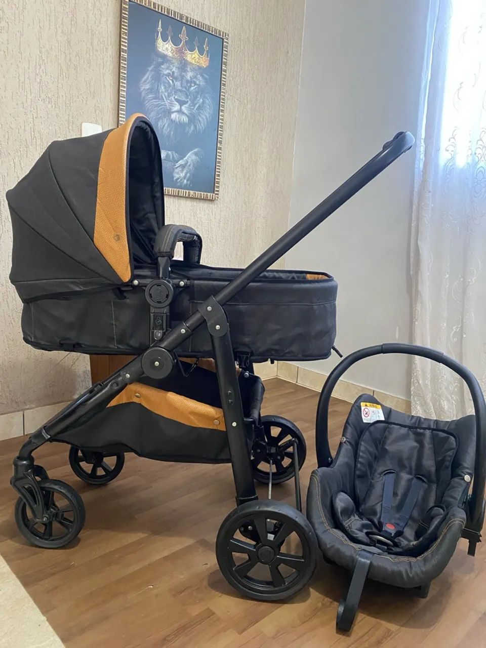 Carrinho Moisés com bebê conforto 