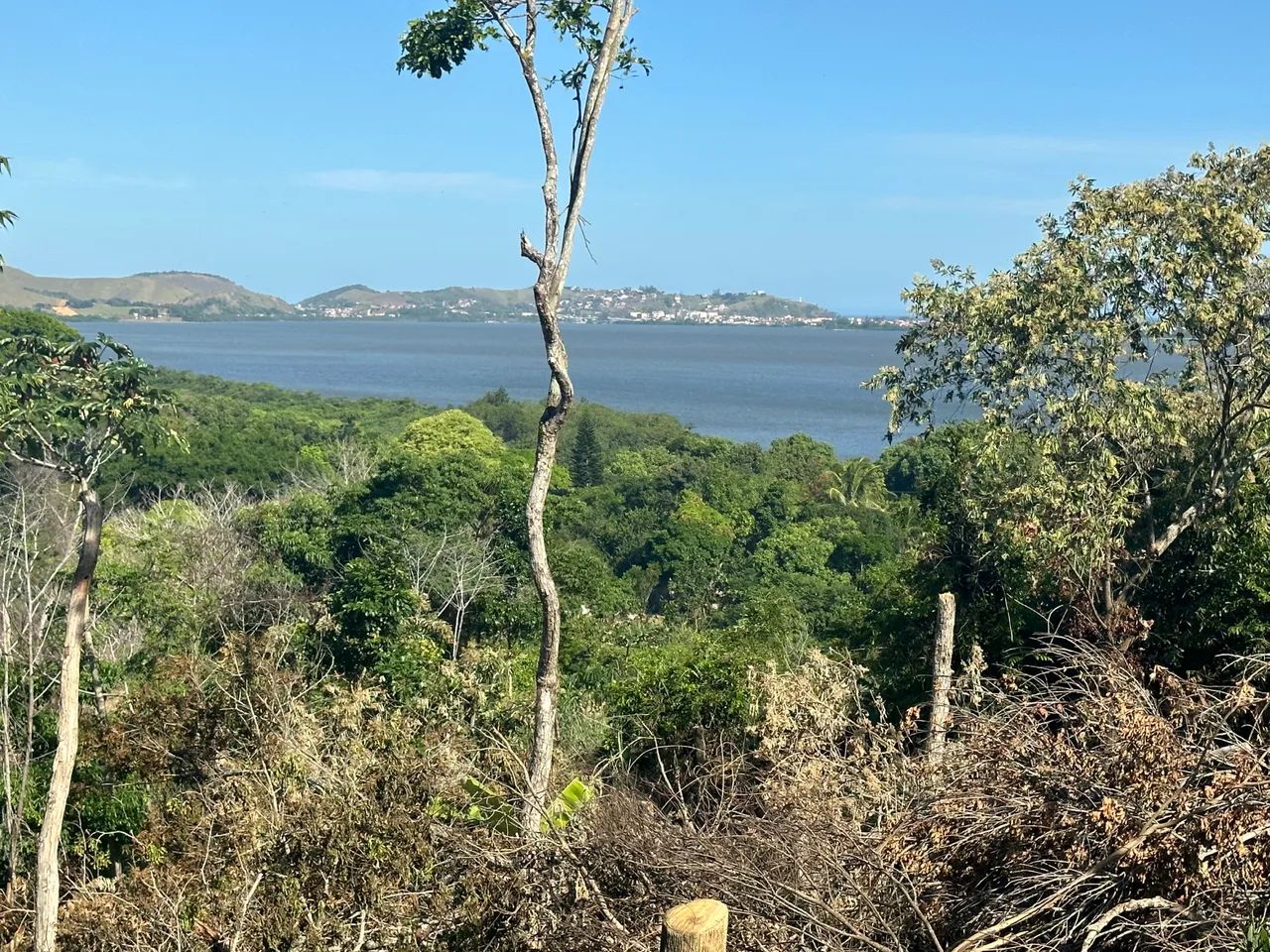 Foto - Rio de Janeiro - Recreio dos Bandeirantes