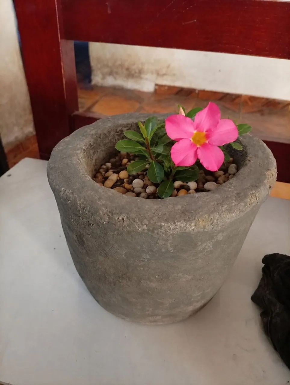 Vasos para plantas  - Foto 2