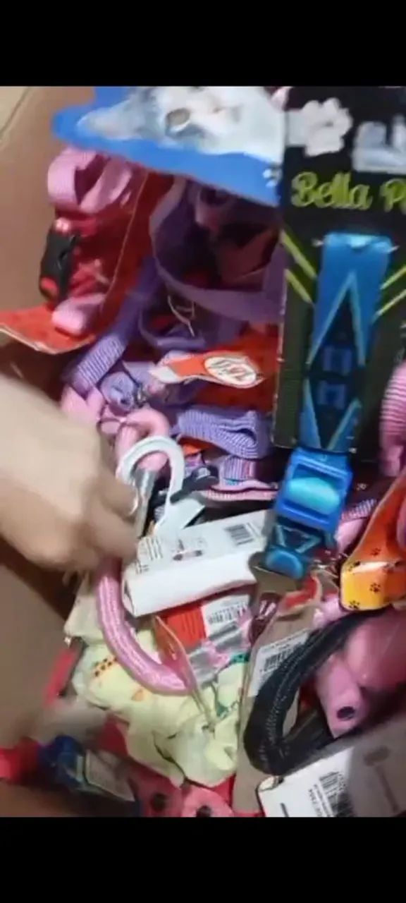 Itens de pet shop roupas e acessórios 200,00 ? painel canelado  para loja 150 ?