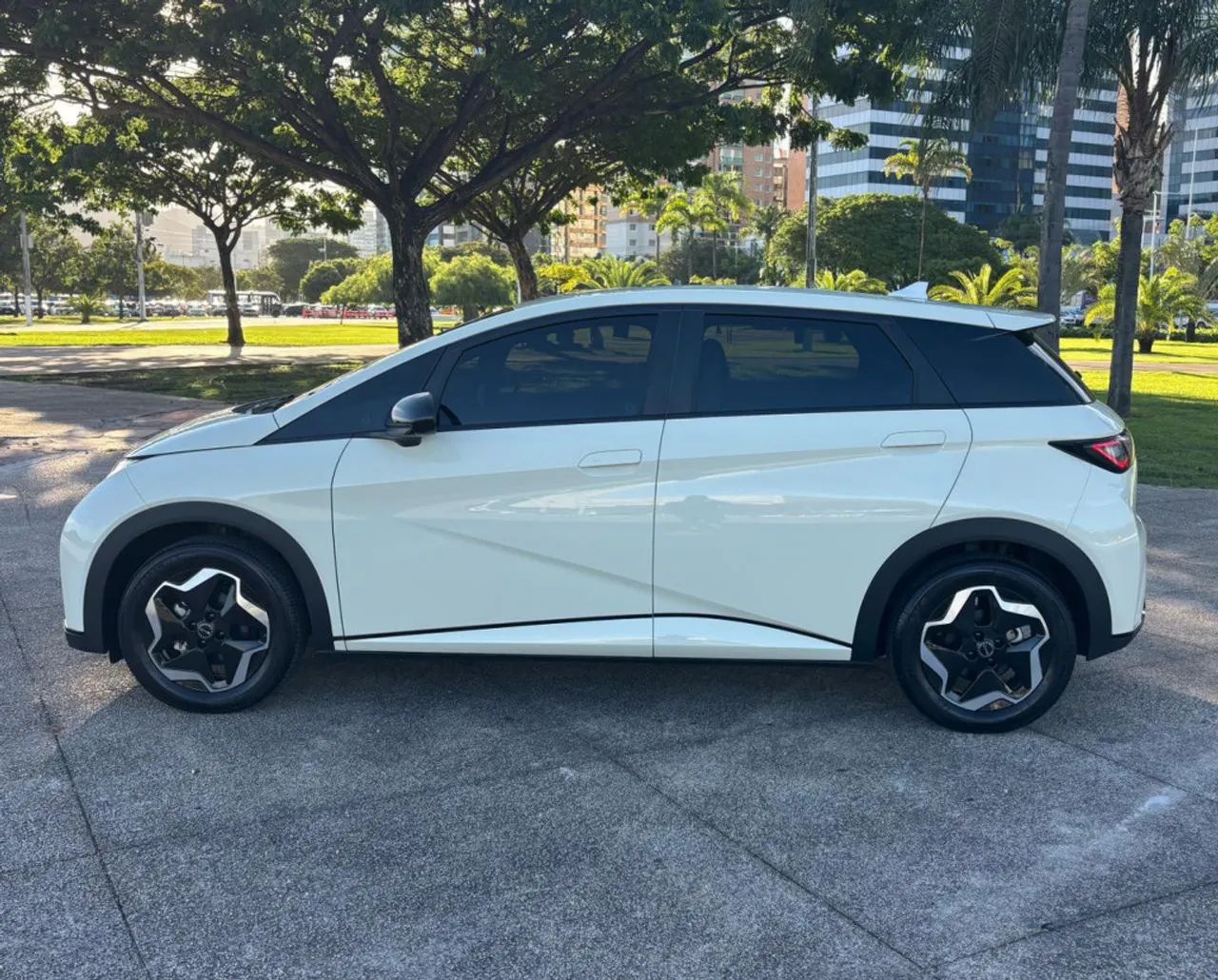 BYD Dolphin GS (Elétrico) 2026 - Foto 4