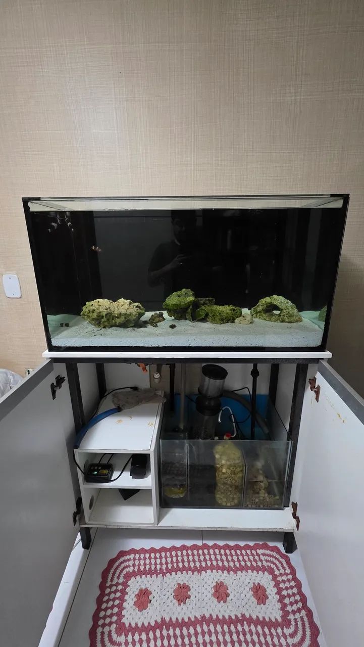 Aquário Marinho 250L Completo  - Foto 2