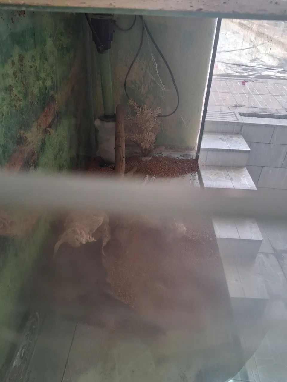 Aquario - Foto 3