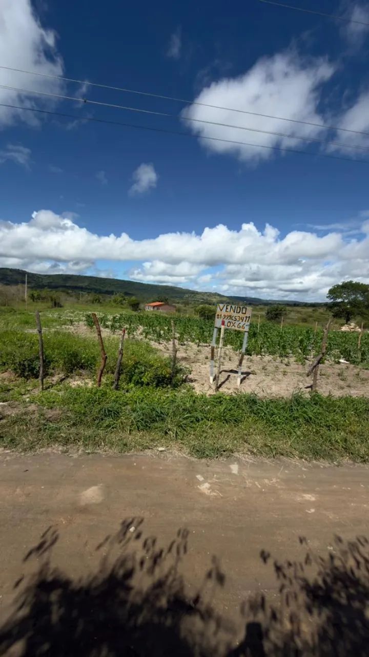 Terreno na VILA TEIMOSA, depois da fazenda MIRIM, perto da encruzilhada de bezerro 20x66 1