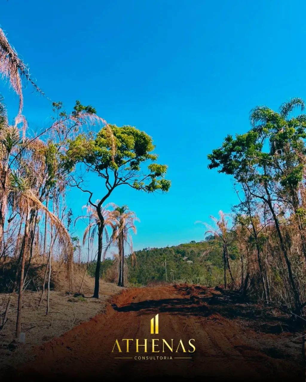 UM LUGAR PARA CHAMAR DE SEU - Foto 2