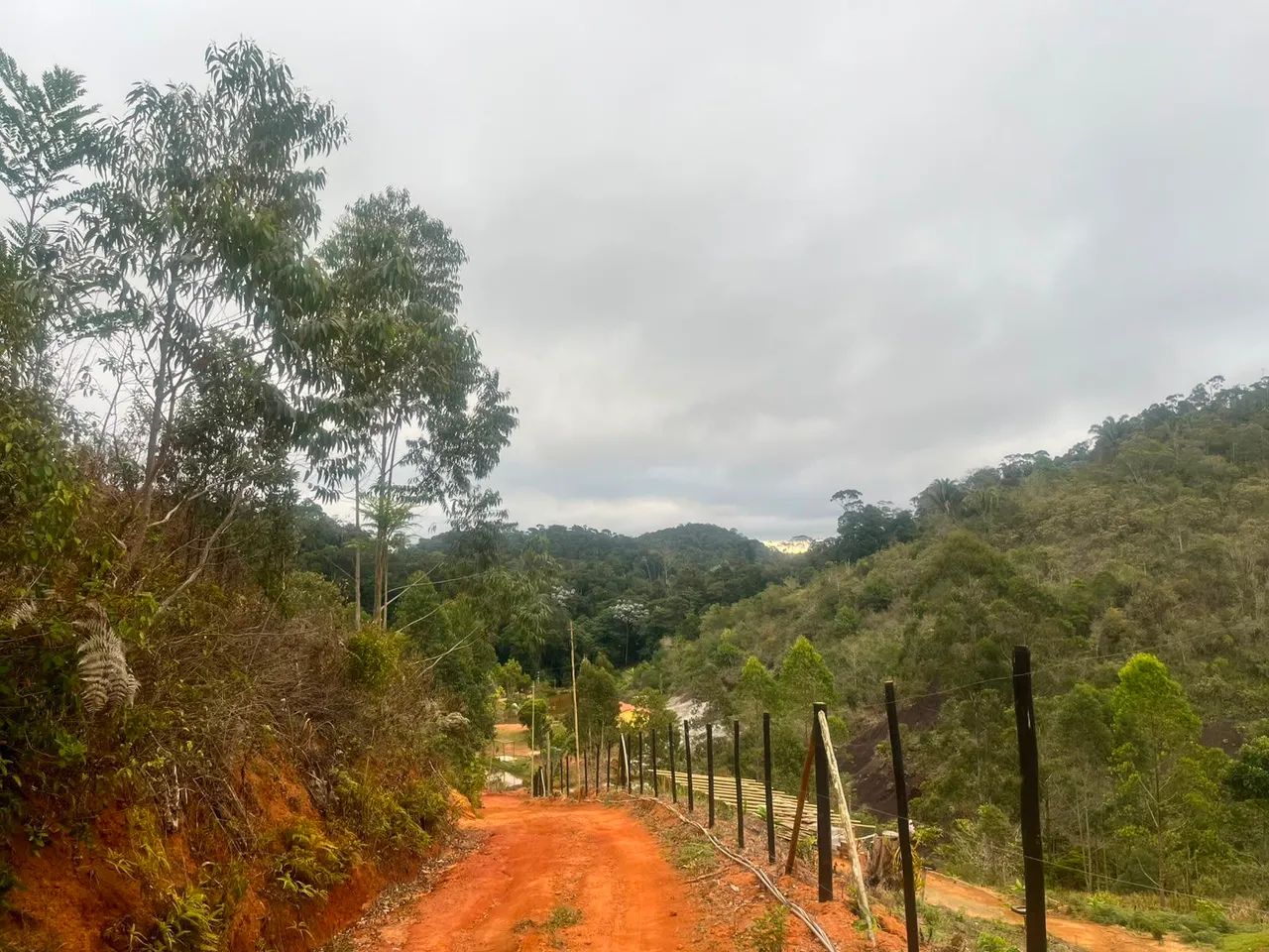 Chacrinha Santa Leopoldina 