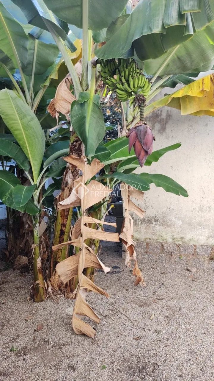 Terreno no bairro Santa Monica. - Foto 4