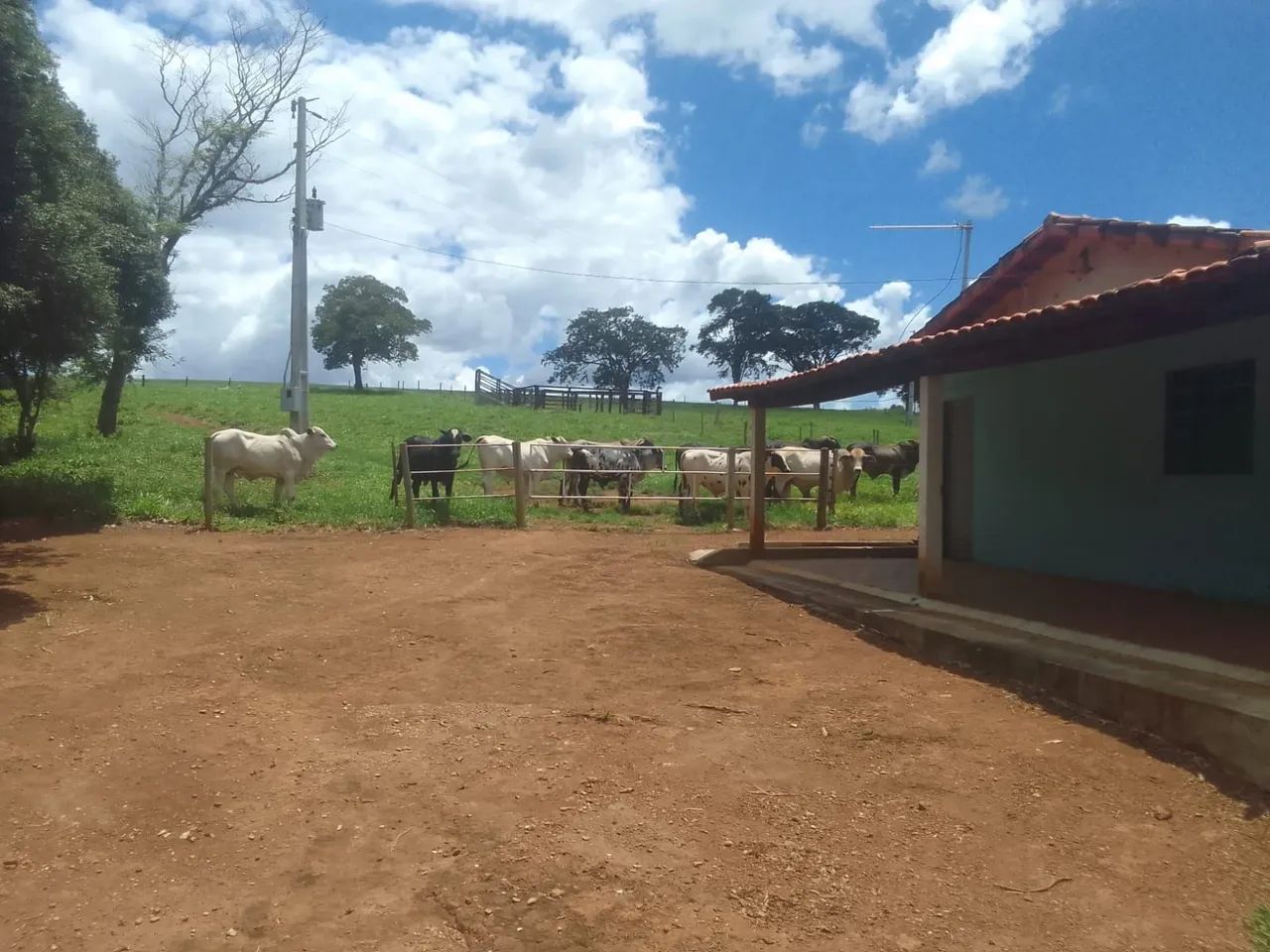 Chácara - Foto 5