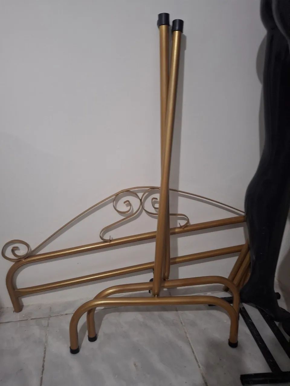 Arara Dourada  - Foto 2
