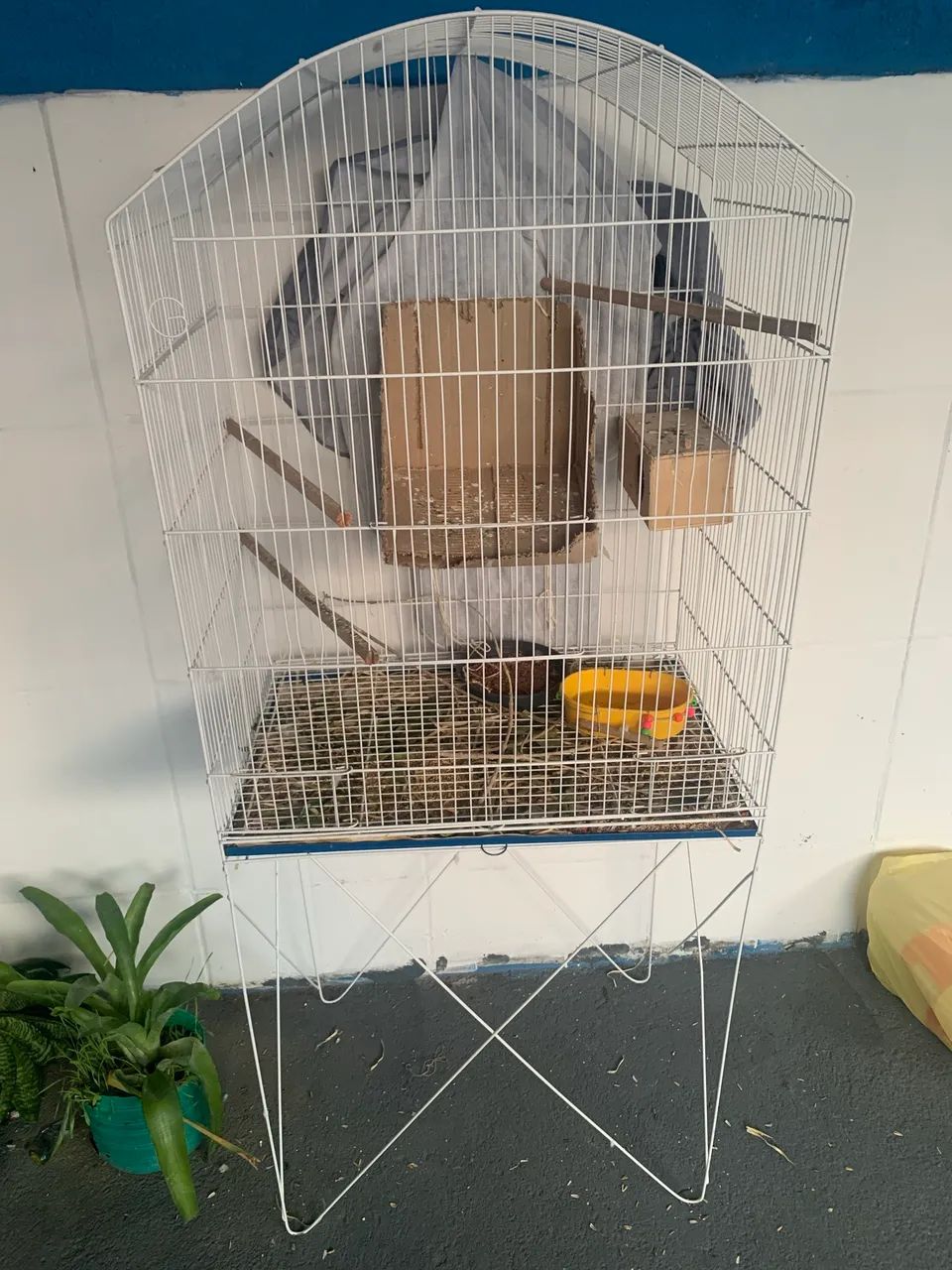 Gaiola 65203712023041120