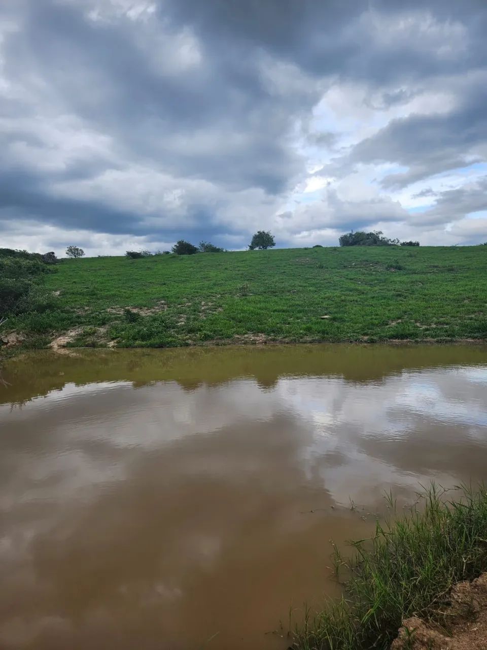 Fazenda 44ha com Cachoeira - Foto 2