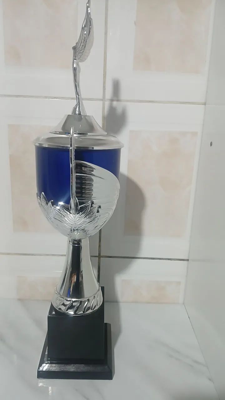 TROFÉU - Foto 4