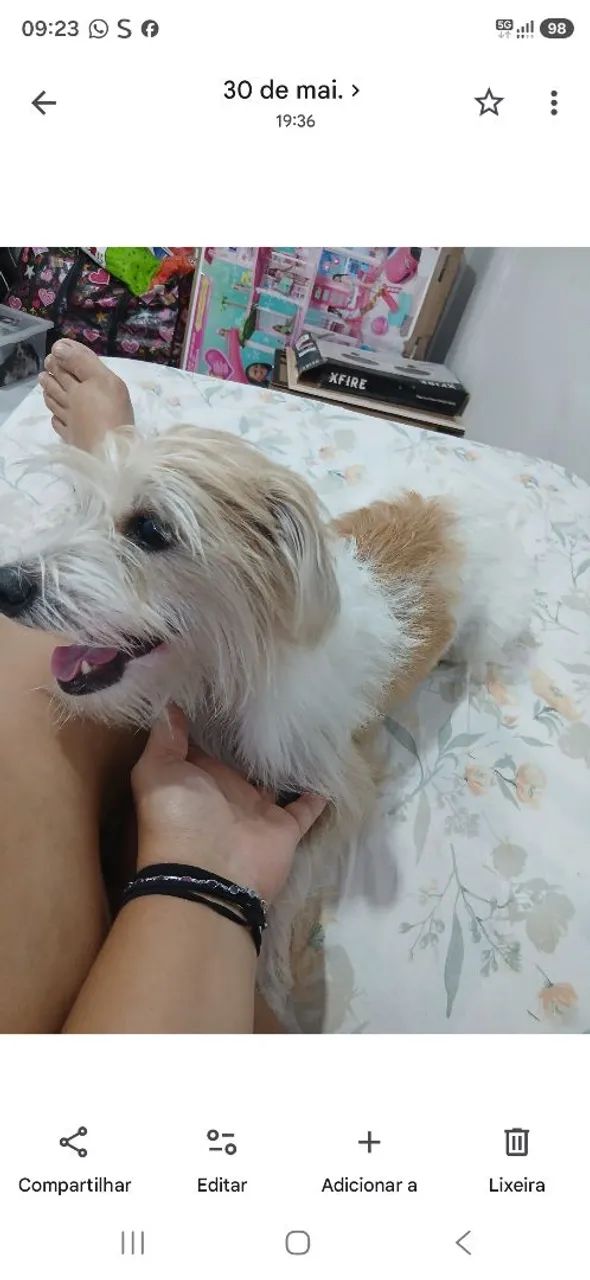 Doação 