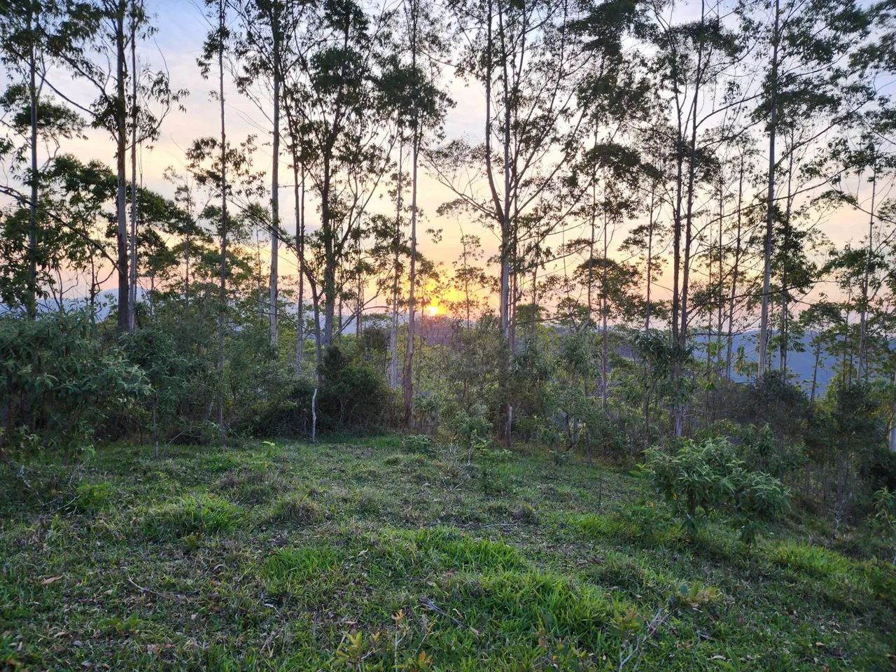 DOMINGOS MARTINS/ALTO PARAJU, 6.8 Hectares!