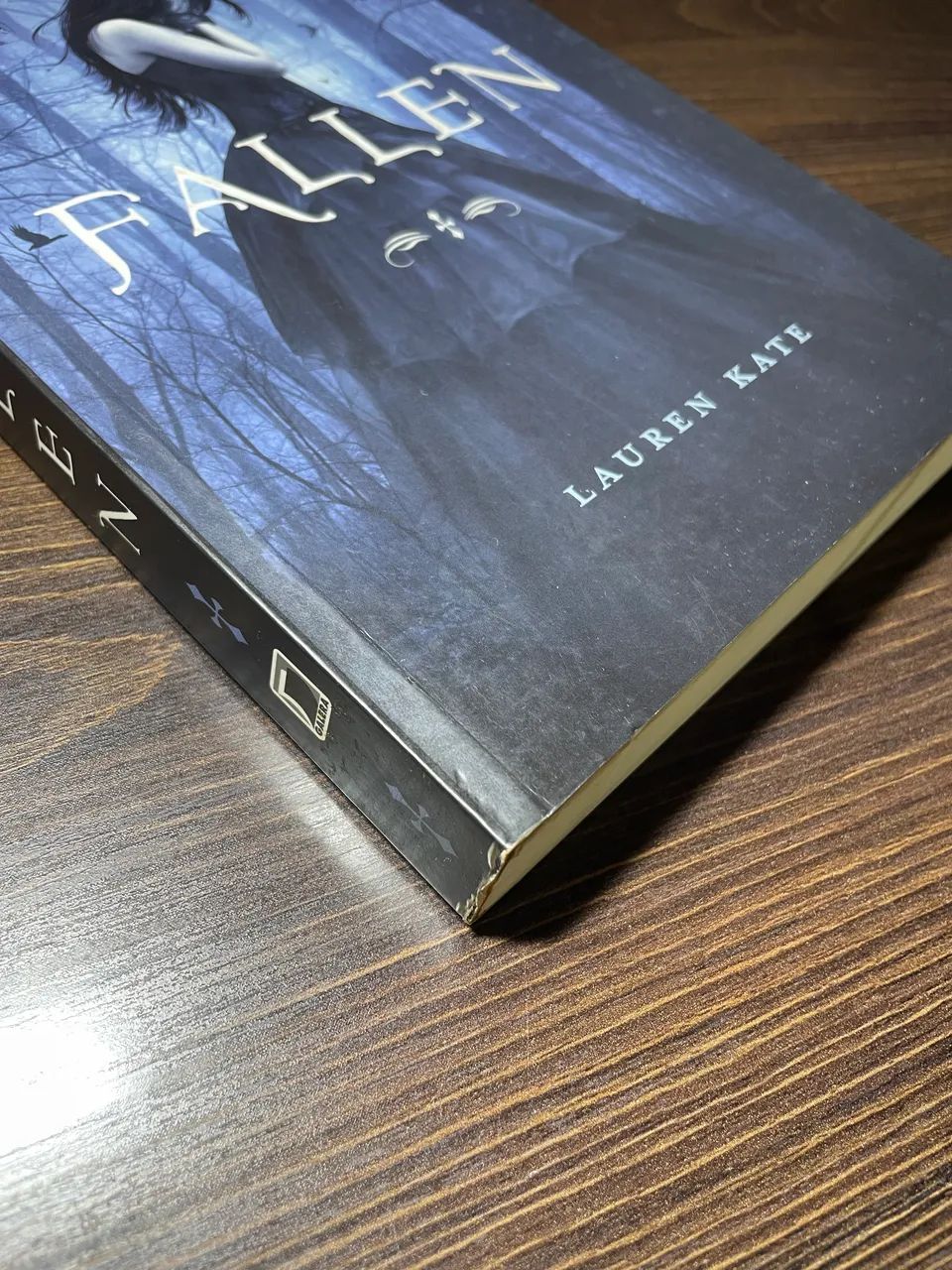 Livro Fallen - Lauren Kate  - Foto 3