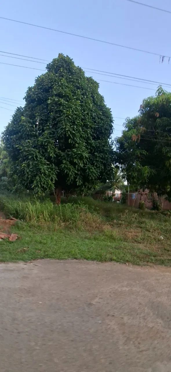 Terreno Urucurituba - Foto 2