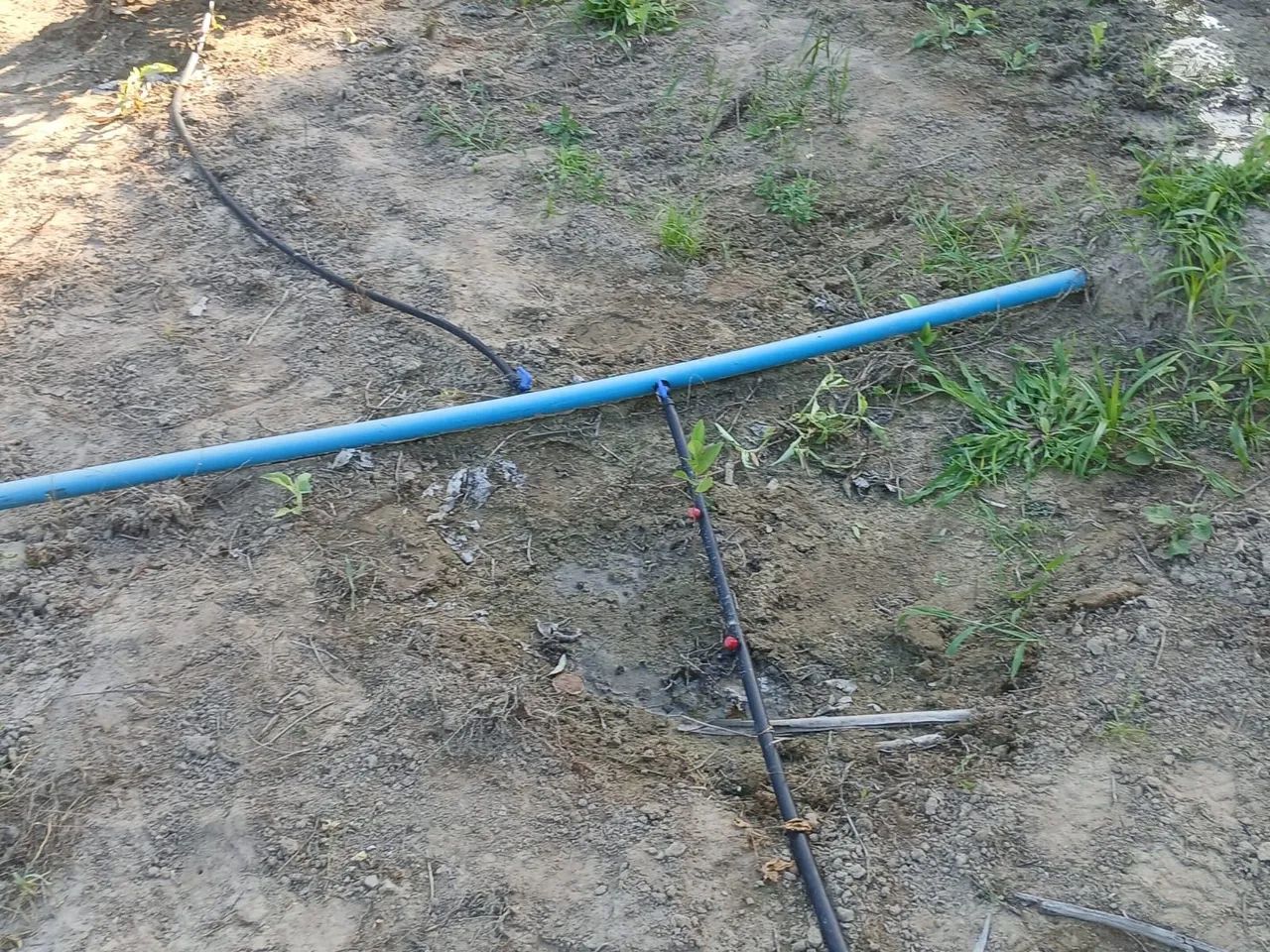 Vendo terreno em pedrinhas - Foto 4