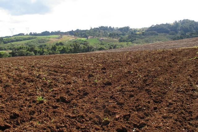 Área de planta 6 alqueires com água - Foto 12