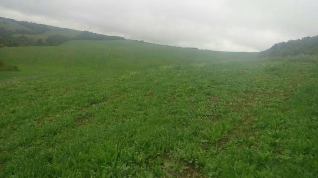 Excelente fazenda terra boa - Foto 2
