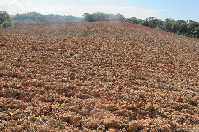 Área de planta 6 alqueires com água - Foto 10