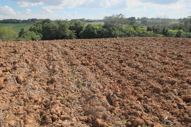 Área de planta 6 alqueires com água - Foto 11
