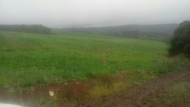 Excelente fazenda terra boa - Foto 10