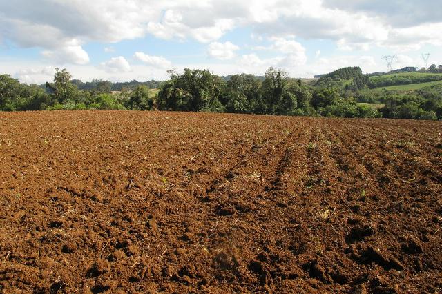 Área de planta 6 alqueires com água - Foto 6