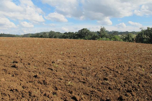 Área de planta 6 alqueires com água