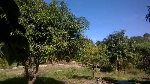 Vendo lindo sitio em engenheiro pedreira com 2700m2 - Foto 10